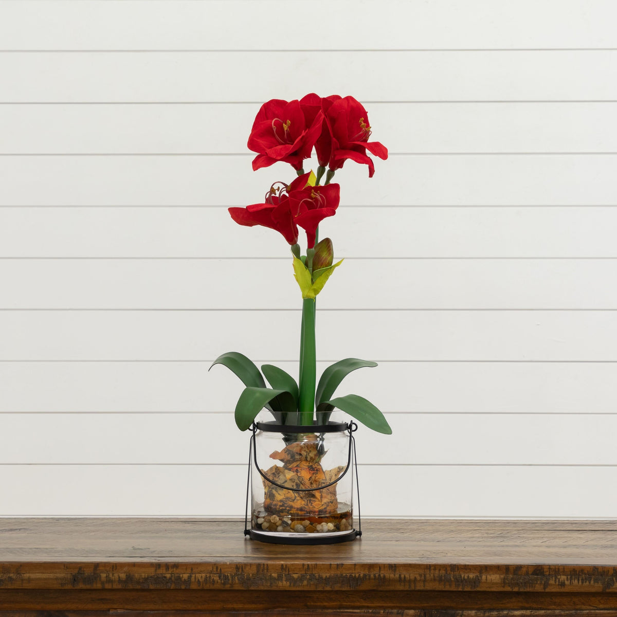 24-Inch Amaryllis Floral Arrangement with Vase - View 3