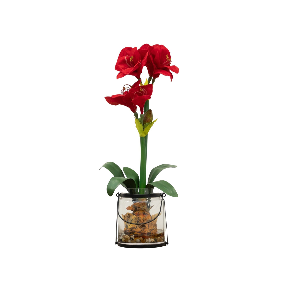 24-Inch Amaryllis Floral Arrangement with Vase - View 6