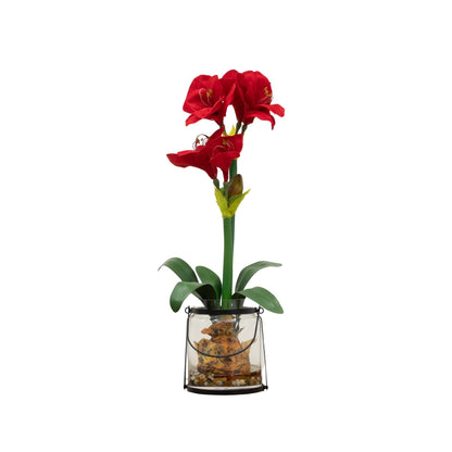 24-Inch Amaryllis Floral Arrangement with Vase - View 6