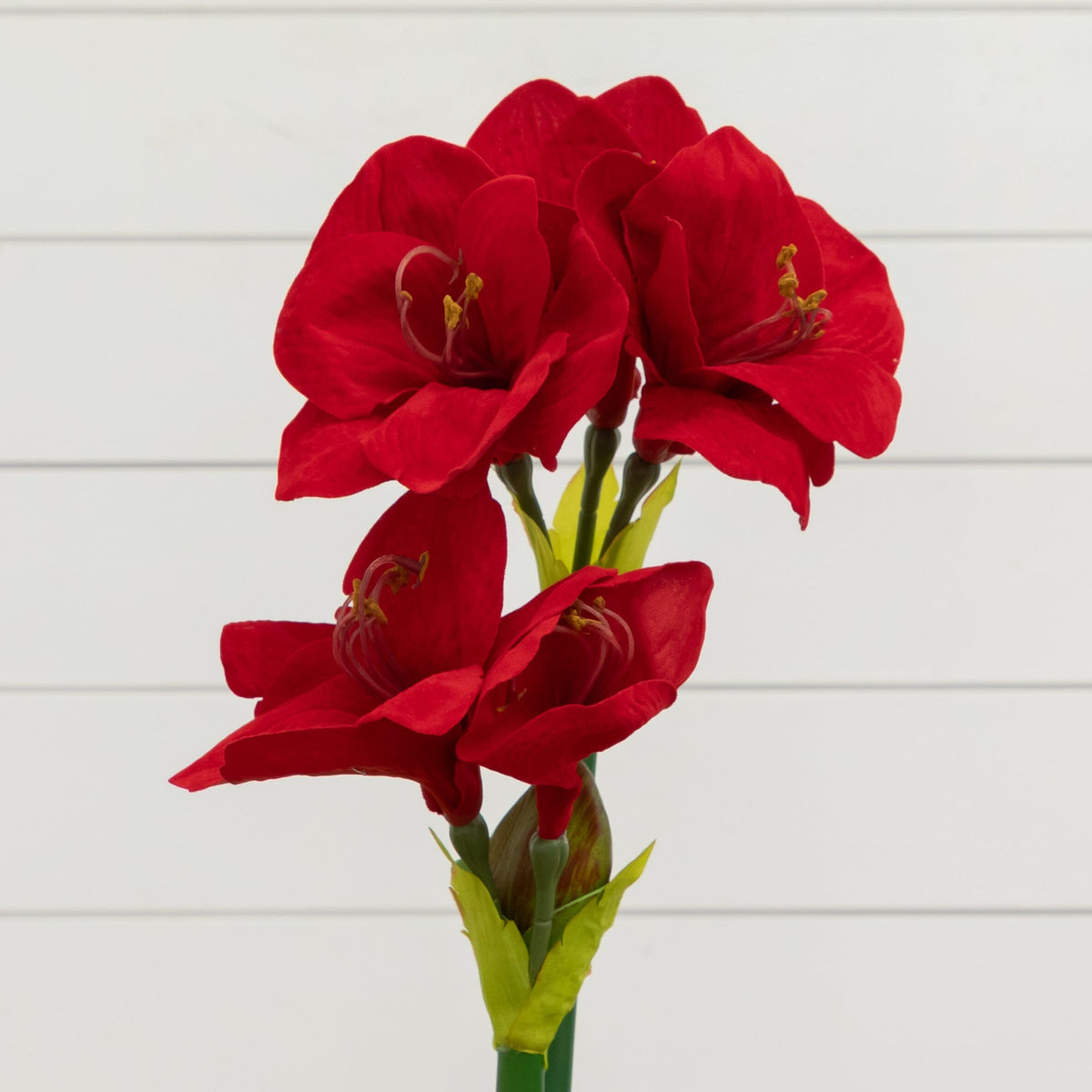 24-Inch Amaryllis Floral Arrangement with Vase - View 2
