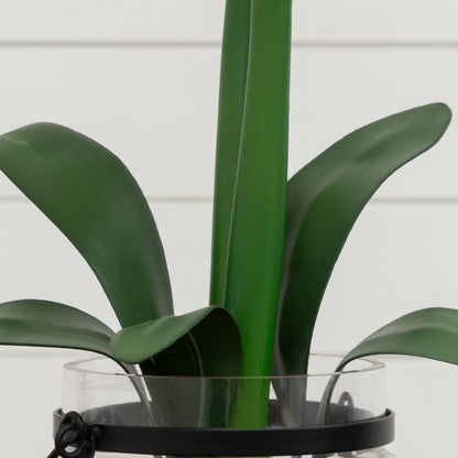 24-Inch Amaryllis Floral Arrangement with Vase - View 4