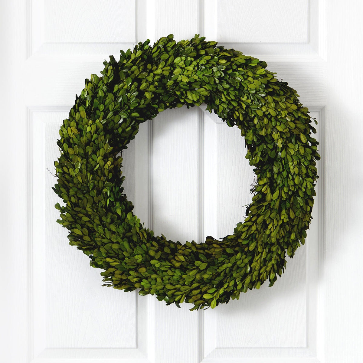 24-Inch Preserved Boxwood Indoor Decorative Wreath - View 1