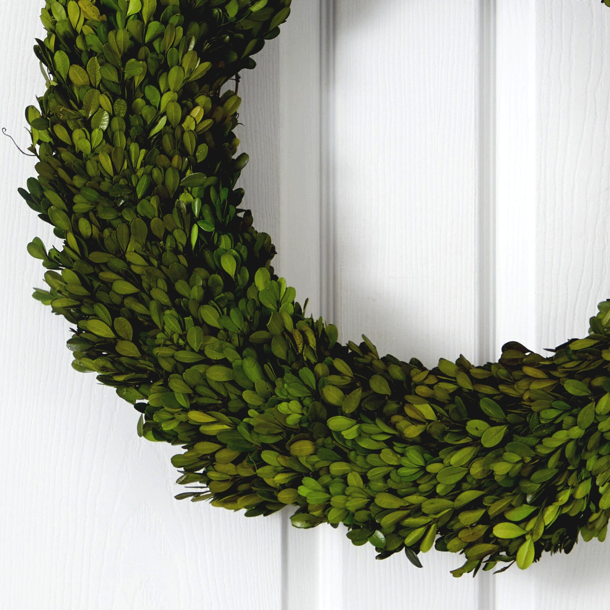 24-Inch Preserved Boxwood Indoor Decorative Wreath - View 2