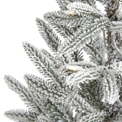3-Foot Snow-Flocked Spruce Christmas Tree with 50 Clear LED Lights - View 3