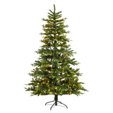 7-Foot Full Spruce Christmas Tree with 650 Warm White LED Lights - View 1